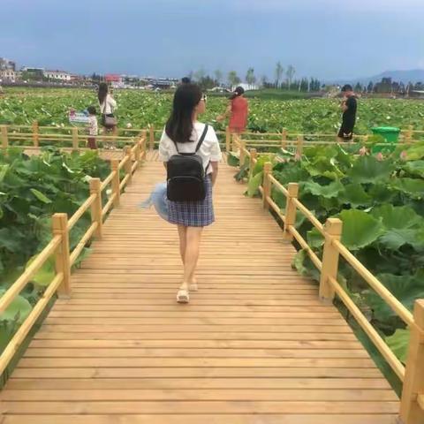 荷塘心语