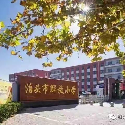 凝心聚力 教研相长——解放小学青年教师优质课展示活动（七）