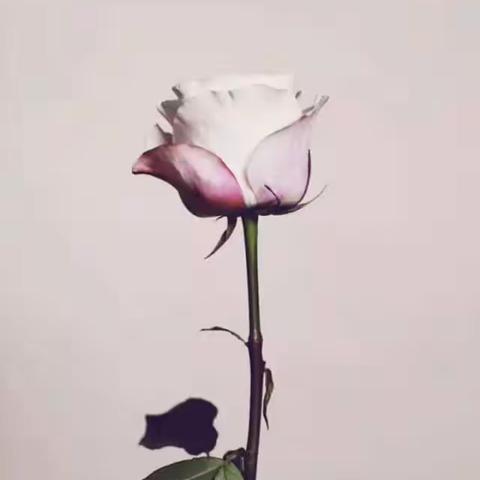 在最好的年纪，遇到最美的你！