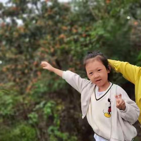 冠博幼儿园果果班农场体验