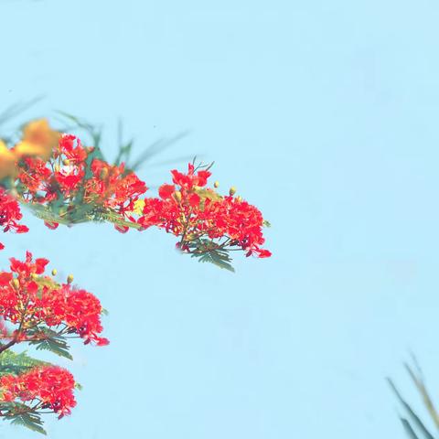 岁月如歌珍惜师生情缘 来日似锦逐梦璀璨人生——海口二中2021届高三年级毕业留念