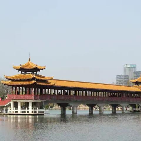 烈士公园的春色撩人