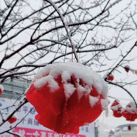 雪是冬季特有的，当寒冷的冬季遇上满天飞雪，也是十分美丽的景象，世界变成了银白色，有了前所未有的纯洁，放眼