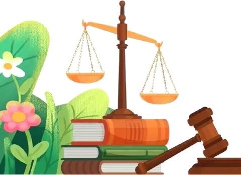 海阳小学“引航青春 法护成长”青少年普法宣讲活动