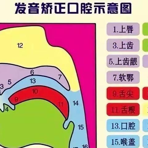 爱博——言语训练与口肌训练