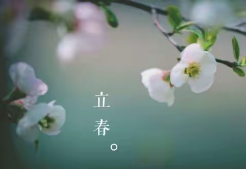 琐日随记   文/鲍芃辰