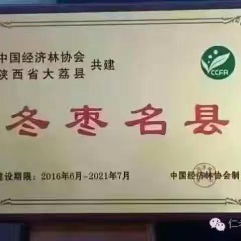谁不夸俺家乡的冬枣好