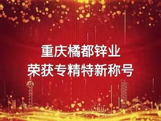 喜报！！重庆橘都锌业有限责任公司荣获“专精特新”称号