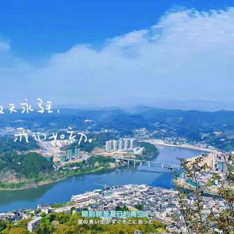 在看得见的地方发芽生长