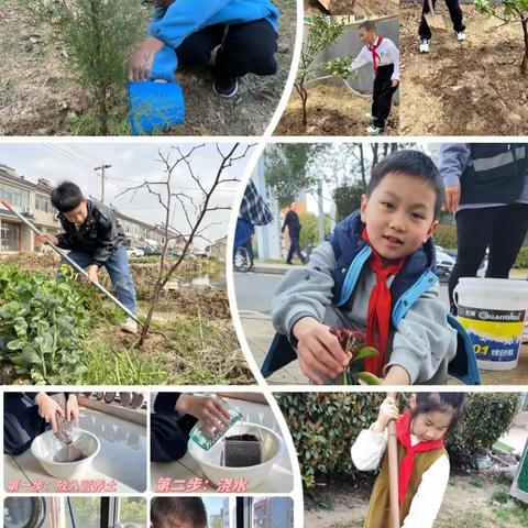 种下一片绿意，收获一个四季