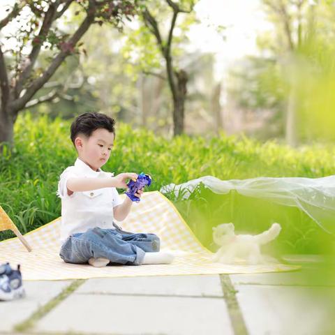 绿叶红花杨柳西湖畔