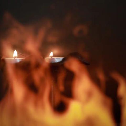 人间风雨山间月