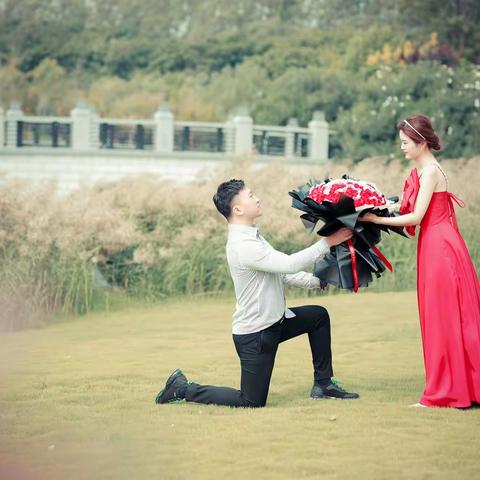 珠联璧合 凤落梧桐