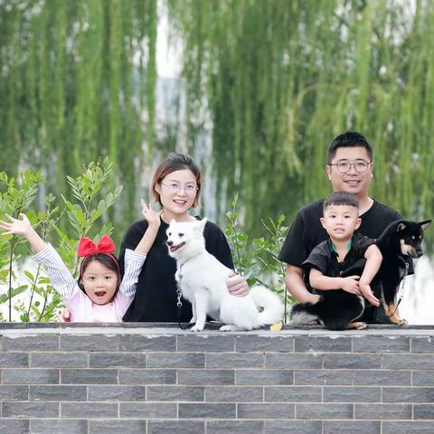 西湖杨柳 幸福家人