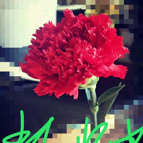 2018年我的第八个教师节