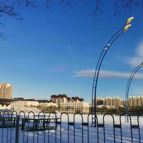 大雪纷飞景色美，师生扫雪暖心田