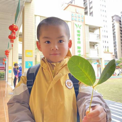 🖼春天有期🌱陪伴无期👦🏻👧🏻kA1小朋友⏰三月时光