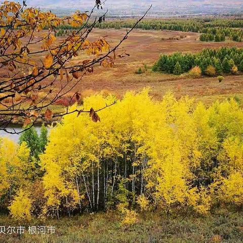 呼伦贝尔大兴安岭（2.3）