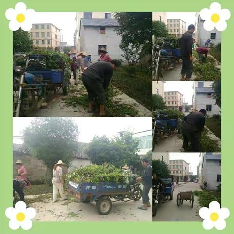 520-想说爱“你”不容易 巾帼红红脸，出出汗，美化乡村动起来