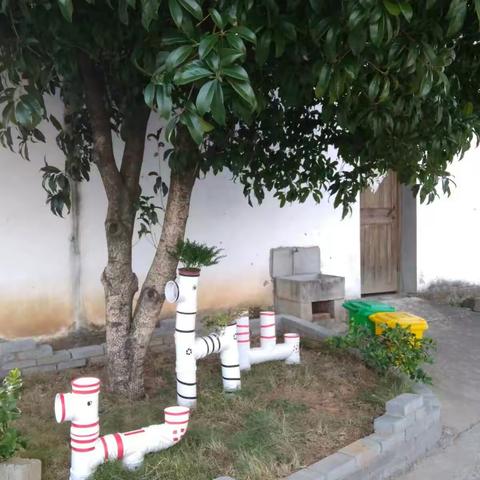 朱大塘村美丽庭院-私人订制🌸