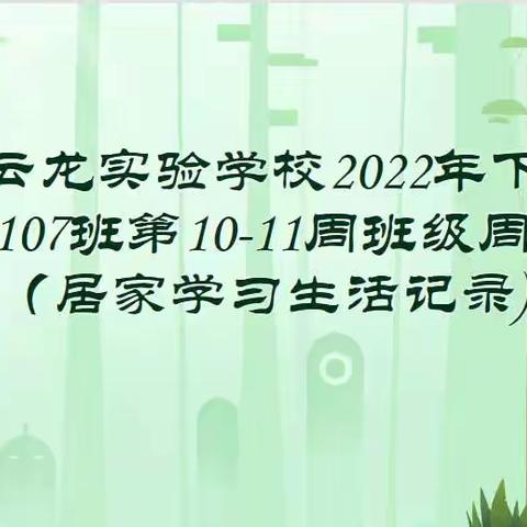 长郡云龙实验学校2022年下学期C2107班第10-11周班级周刊