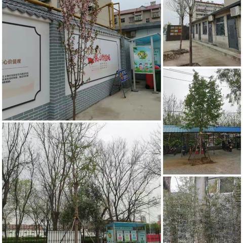 我为一处添色彩——栽植树木， 改善单位环境