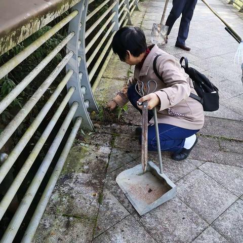 文峰社区:党建引领城市社区综合治理