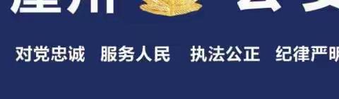 崖州分局路长制3月9日战报（2024年第68期）