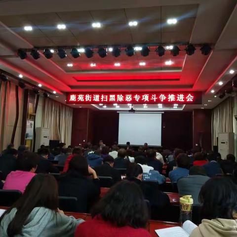 鹿苑街道组织召开扫黑除恶专项斗争推进会