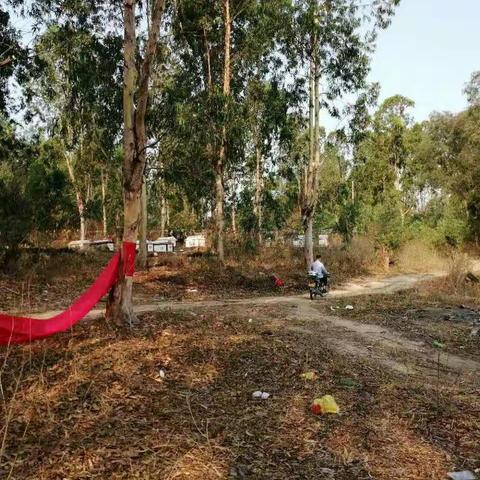 加强清明节期间森林巡查 排查火灾隐患