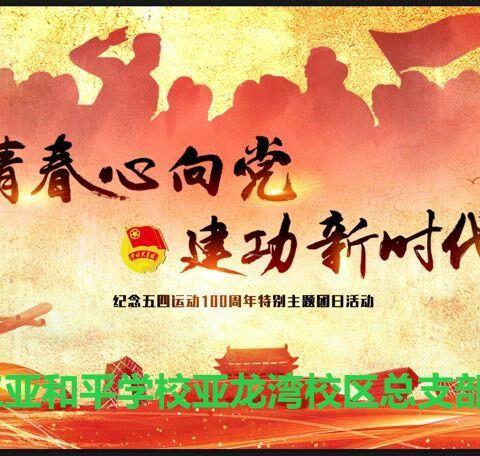 "青春心向党·建功新时代"―共青团三亚和平学校亚龙湾校区总支开展纪念五四运动100周年暨新团员入团宣誓仪式
