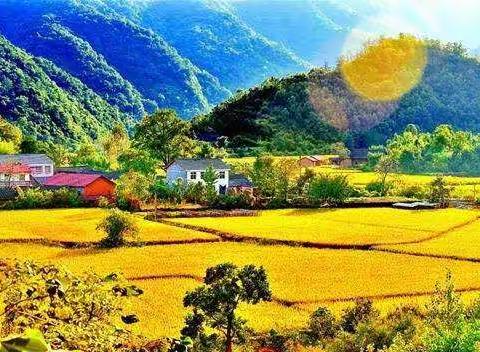 秋收助农，畅享喜悦