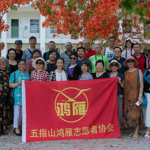 五指山毛道凤凰花盛开