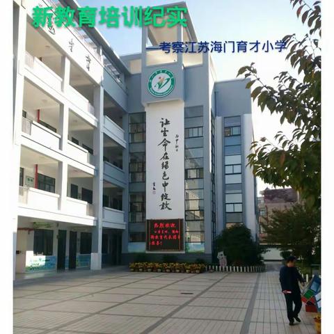 育才小学考察纪实