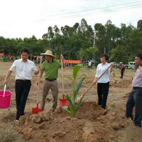 义务植树造林