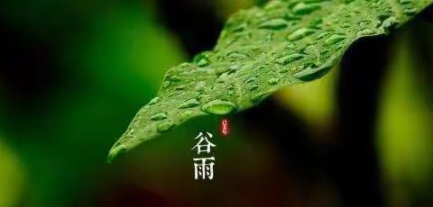 【雨生百谷·润物无声】二十四节气“谷雨”主题系列活动