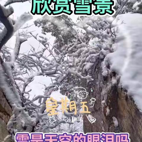 留住回忆