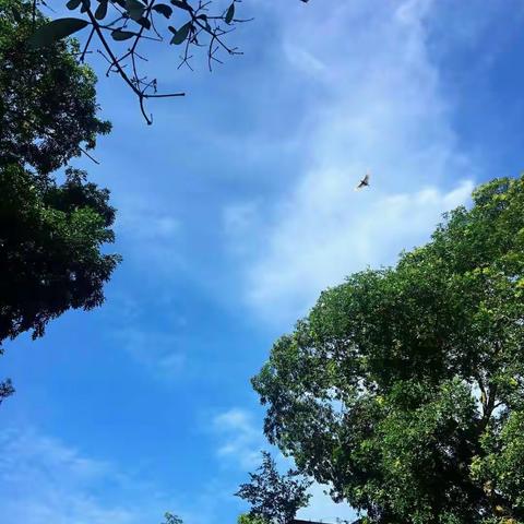 心怀梦想，展翅翱翔——澄迈中学高一合格性考试第一天