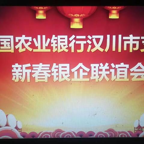 中国农业银行汉川市支行新春银企联谊会