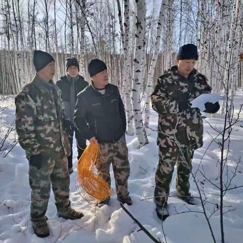 集团公司生态修复管理处工作组深入图强林业局进行森林抚育核查验收工作