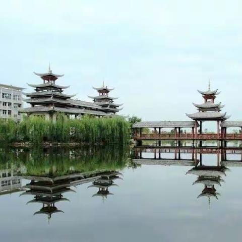 学以致用，共同进步—2021年园长培训第5天