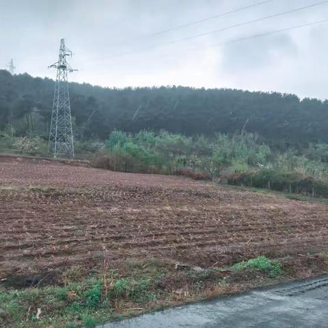 雨晨  （散文诗）