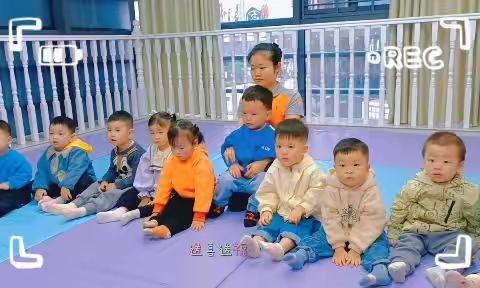 红黄蓝托育明星B班