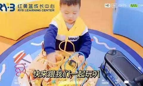 红黄蓝托育过渡明星B班