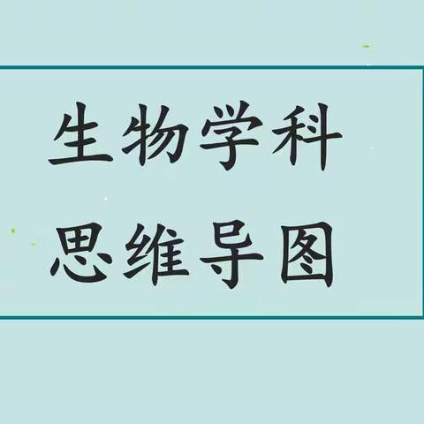 尝试让我们的思维可视化---徐州市东苑中学八年级组10月活动展