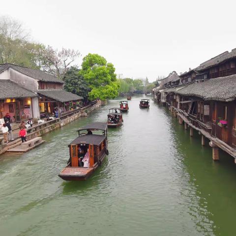 乌镇之恋