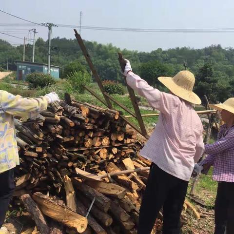 【兰溪市水亭乡】金印村积极开展环境卫生整治