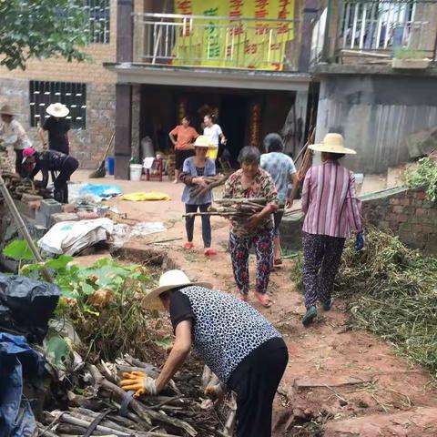 【水亭乡】金印村持续开展环境卫生整治行动