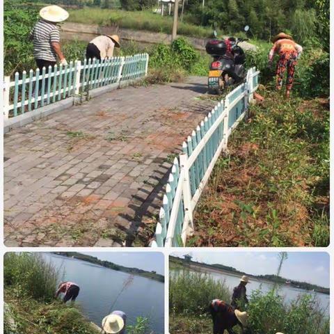 【水亭乡金印村】积极开展环境综合整治，助力省文明市创建