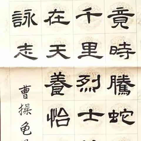“翰墨歌盛世 书法迎新春”——西安碑林书法家协会作品网络展（四）